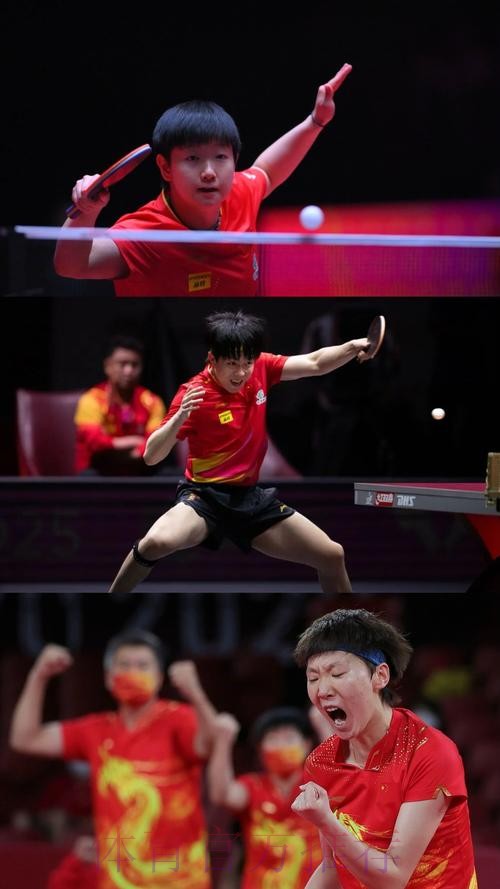 高清直播:世界杯乒乓球决赛全程回放 高清直播:世界杯乒乓球决赛全程回放